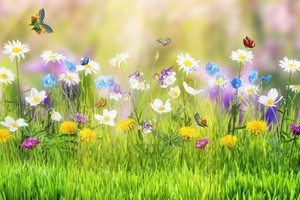 （示意图：互联网）