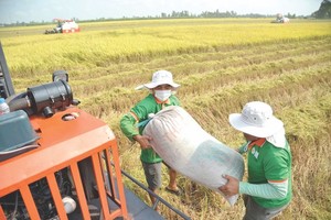 杜绝农民稻米被压价情况