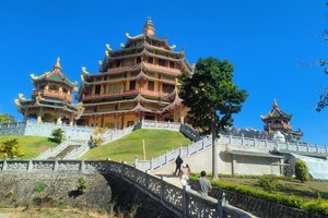 芳莲静处一隅。