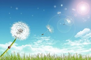 （示意图：互联网）