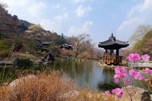 （示意图：互联网）