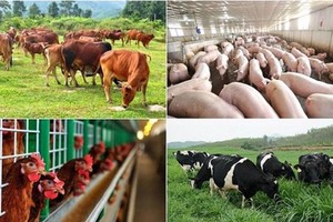 （示意图：互联网）