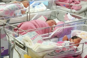 新生儿在慈裕产育医院新生儿科接受护理和治疗。（图：黄黎）