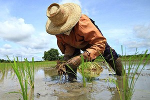 （示意图：互联网）