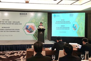 越韩携手提高农产品价值链