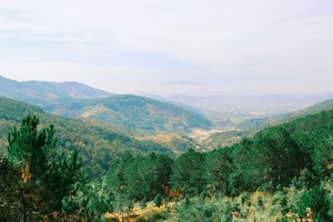 被松林山麓所环抱的大勒，大自然景色秀丽。
