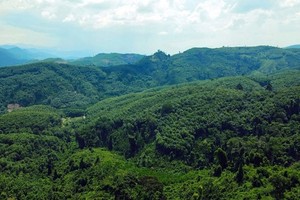 2023年全国森林总面积约达1486万公顷