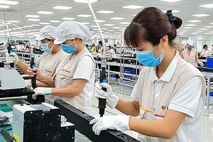 今年前3个月有62国家与地区在越南投资。（图：VCCI）