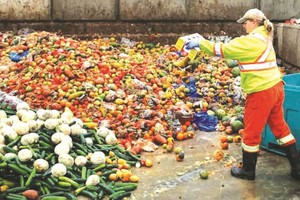 三份之一的人类面临粮食短缺问题。（图：互联网）