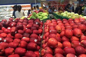 进口苹果。（示意图：互联网）