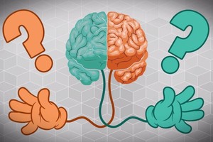 惯用右或左手可能由胚胎细胞中蛋白质决定