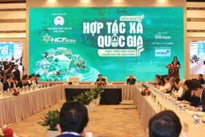 2024年国家合作社论坛场景。（图：VGP）