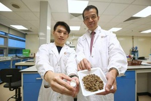 研究员从啤酒糟提取蛋白质，用于制成护肤霜。（图：互联网）