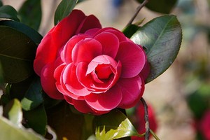 （示意图：互联网）