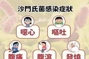 酷热天气为沙门氏菌感染高峰期