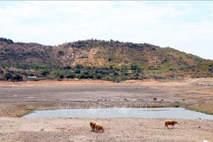 宁顺省宁海县的京翁湖水源已经干涸。（图：越通社）