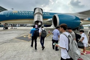 （示意图：VNA）