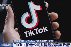 （图：CCTV视频截图）