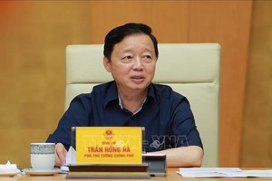 政府副总理陈红河主持会议并发表指导意见。