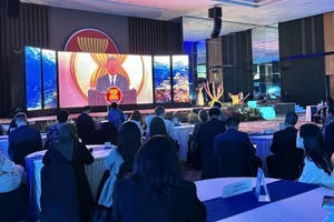 “东盟绿色经济革新”项目亮相仪式。（图：越通社）