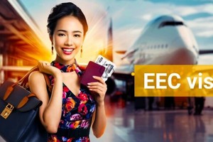 （示意图：互联网）