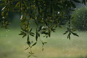 （示意图：互联网）