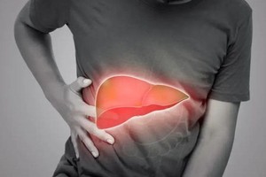 从这两方面分别脂肪肝和肝炎