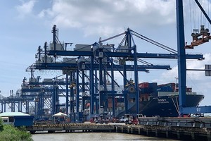 正向绿色物流转型的本市桔莱港。