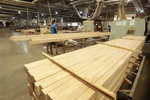 木材出口呈积极增长态势