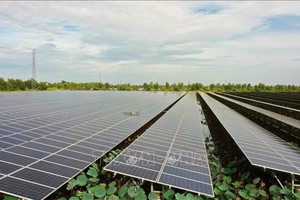 隆安Europlast公司太阳能发电厂采用无人机视察太阳能电池板活动。（图：越通社）