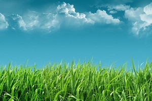 （示意图：互联网）