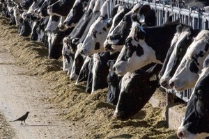 （示意图：互联网）