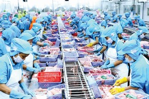 美国向来是越南水产品的出口大国。（图：武生/越通社）