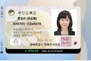 电子身份证图例。（图：韩联社）