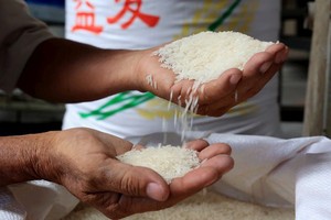 越南大米出口中国。