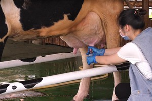 （示意图：互联网）