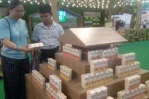 健康和与环境友善的绿色乳制品正受到不同年龄消费者的关注。