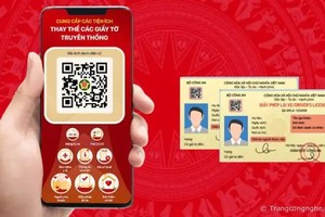 在VNeID上认证的驾照获公认