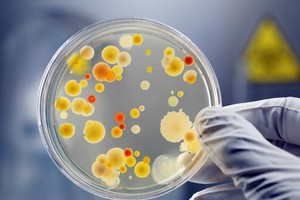 （示意图：互联网）