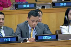 越南常驻联合国代表团团长邓黄江在大会上发言。（图：越通社）