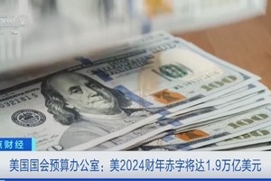 （图：CCTV视频截图）