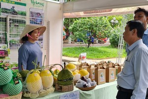 城市农业与数字化转型