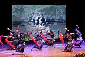 图为2024年柬埔寨越南文化周的一幕精彩表演节目。图自越通社