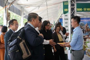 与会代表参观各省市的展位及寻求商机。（图：春琼）