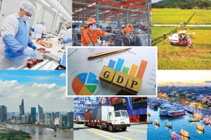 今年上半年，越南经济增长取长6.42%，比起去年上半年的3.84%增长更高。（示意图：互联网）