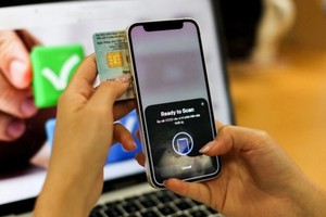 （示意图：姜芽）