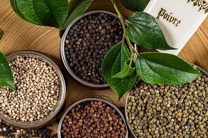 胡椒（示意图：互联网）