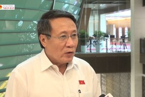 广治省人委会常务副主席何士同接受记者专访。（图：人民代表视频截图）