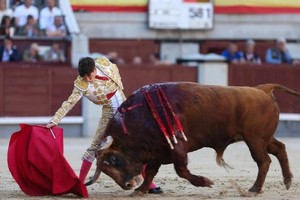 全球目前仅有8个国家仍在举行斗牛活动，分别是哥伦比亚、厄瓜多尔、法国、墨西哥、秘鲁、葡萄牙、西班牙（图）和委内瑞拉。（图：法新社）