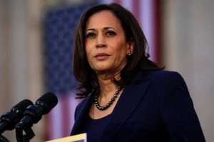 美国副总统哈里斯。（图：互联网）